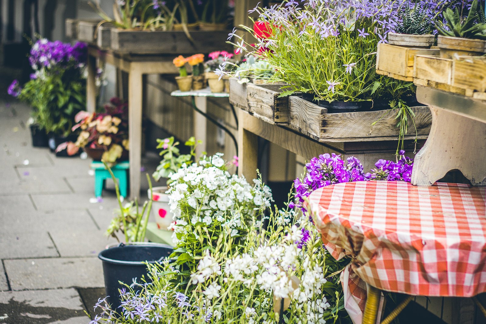 Ideas for better garden center blogs