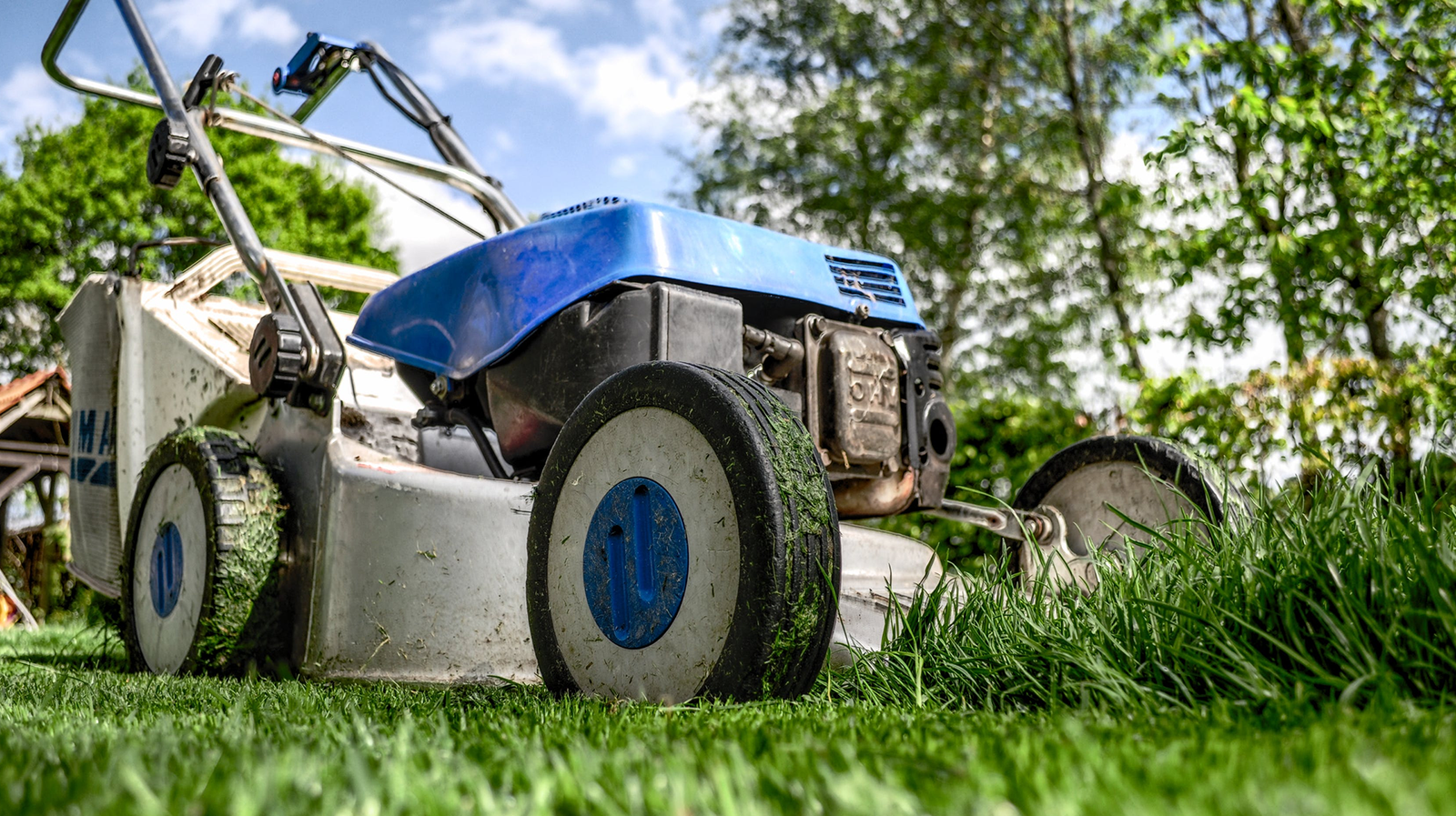 Over 80 Blog Post Ideas for Gardening Blogs